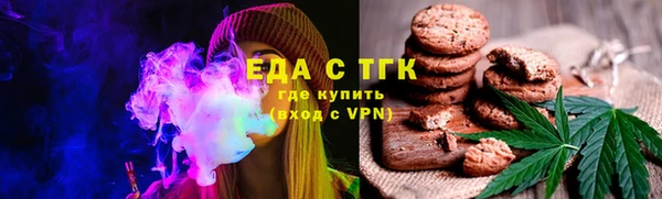 spice Богородицк