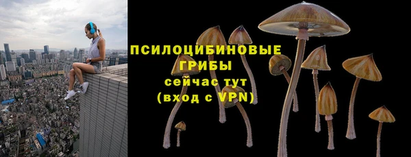 прущий лед Верея