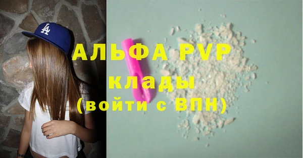 spice Богородицк