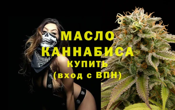 spice Богородицк