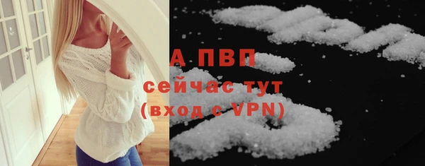 стафф Богданович