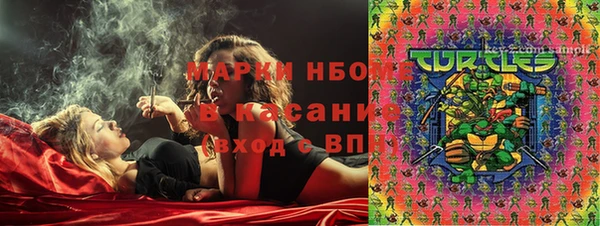 spice Богородицк