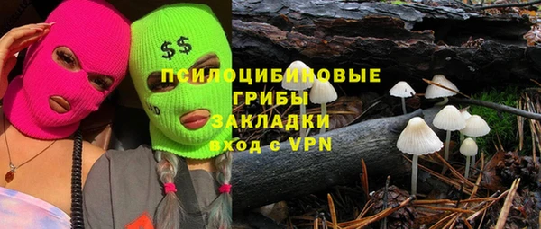 spice Богородицк