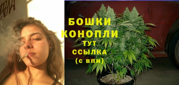 spice Богородицк