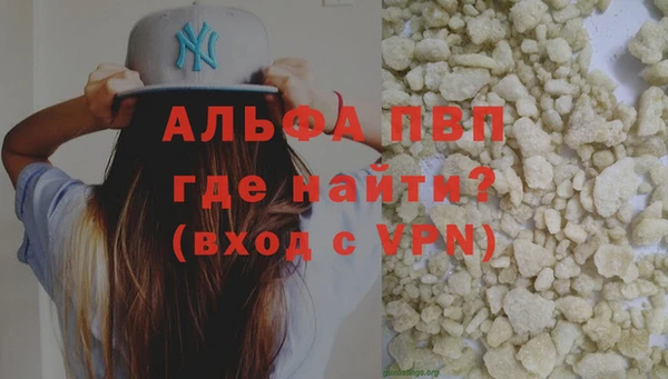 стафф Богданович