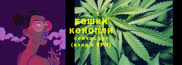 прущий лед Верея