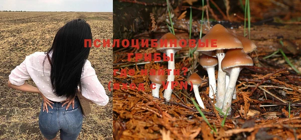 стафф Богданович