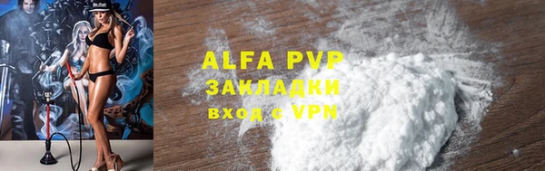 spice Богородицк